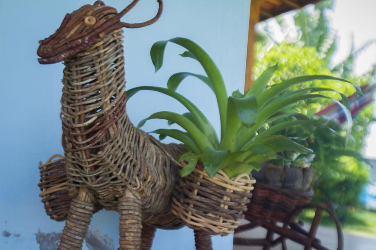 Recanto Ancora Azul - Taipu De Fora Barra Grande  Ngoại thất bức ảnh